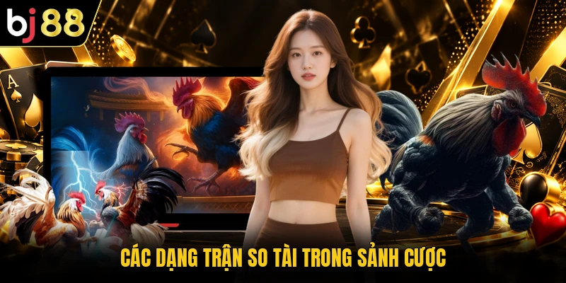 Các dạng trận so tài trong sảnh cược