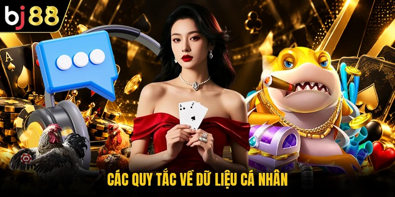 Các quy tắc về dữ liệu cá nhân