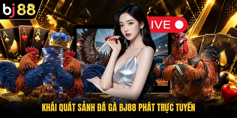 Khái quát sảnh đá gà BJ88 phát trực tuyến